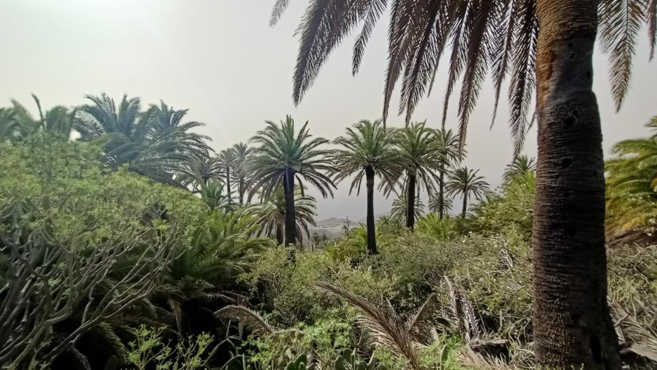 Alquilaencanarias Casa La Playa La Gomera Alojera Kültér fotó